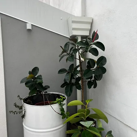 Zora Loft&essence * Manfredonia